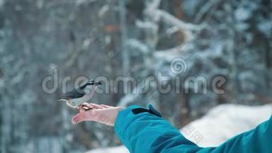 灰杰伊在下雪时吃人的手