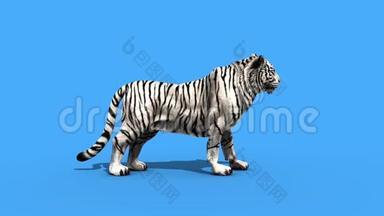白虎吼动物侧绿屏3D渲染动画