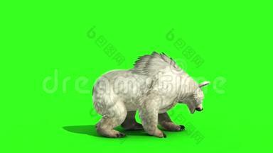 白熊攻击侧绿屏3D渲染动画