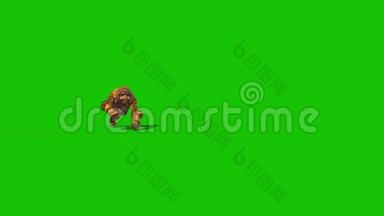 猩猩会运行前绿色屏幕猴子动物3D渲染动画