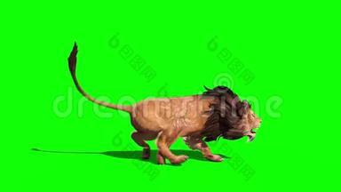 狮子跑侧环3D渲染动画