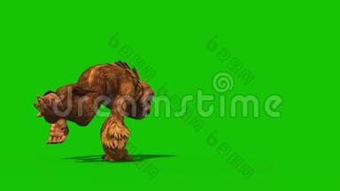 OrangutansDies正面绿色屏幕猴子动物3D渲染动画