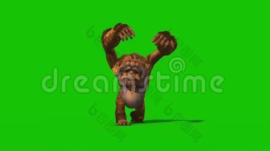 猩猩攻击前绿色屏幕猴子动物3D渲染动画