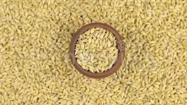 大麦在一个陶罐中旋转和接近，站在大麦种子的背景上。