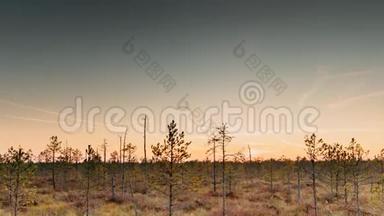白俄罗斯<strong>生物圈</strong>保护区贝雷辛斯基。 秋日黎明景观与沼泽沼泽在日落。 黑树剪影