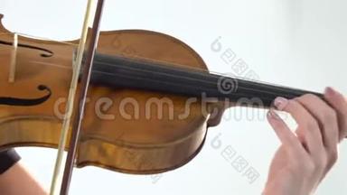 女孩用手指弹奏小提琴的琴弦。 快关门。 白色背景