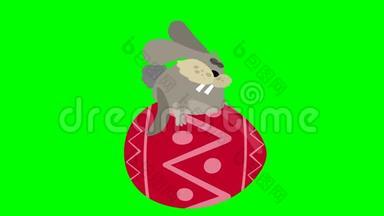 复活节兔子卡通动画飞上一个红色复活节彩蛋