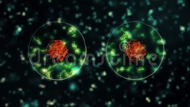 病毒冠状病毒2019-nCOV感染可视化.. 感染人体内的病原体细胞呈霓虹绿色球形