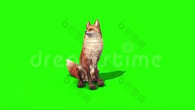狐狸闲置前绿色屏幕三维渲染动画动物