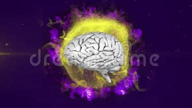 3d人脑在紫色背景上<strong>旋转</strong>的动画。