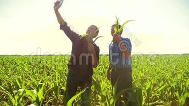 玉米两个农民研究智能手机，拍照自己做自拍，走过他的田地走向相机。 慢慢慢慢