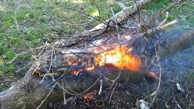 从干燥的树枝上点燃的篝火在<strong>林间</strong>空地上燃烧-19年代