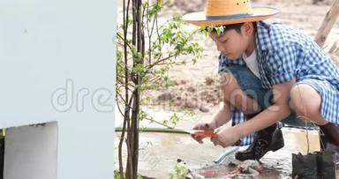 年轻的亚裔泰国男孩在花园的黑土上用小苗浇水。