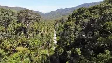 穿过椰子林。 泰国苏梅岛阳光明媚的一天，穿过椰子棕榈路。 医生