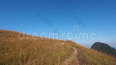 沿着山脊上的小路走着，秋天，微风吹拂着山和蓝天背景的芦苇。