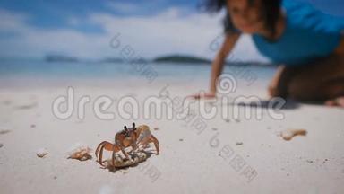 小<strong>螃蟹</strong>站在<strong>沙滩</strong>上的岩石上。 女孩看着海洋生物，然后跑到她身边。 大海和蓝天