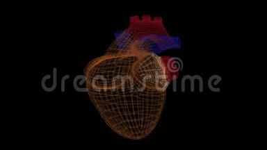 心脏扫描动画。 与心血管系统检测疾病和问题的接口。