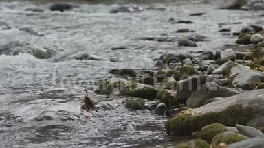 <strong>移山</strong>河：湍急的河溪和岩石..