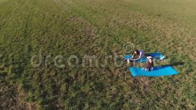 在温暖的夏日里，妈妈和她的小女儿在田野上的<strong>垫子</strong>上伸展。 空中全景。