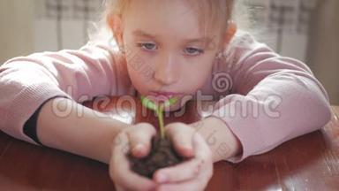 女孩手里拿着年轻的绿色植物。 生长，呵护，保护地球，生态的理念和标志..