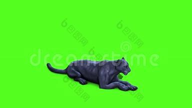 黑豹猫恢复绿色屏幕顶部3D渲染动画动物