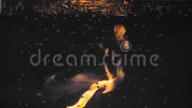 水中的Pysiri顶着一团火焰，火在水中..