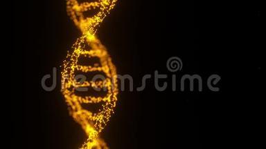人类<strong>DNA</strong>3D丛旋转。 <strong>金色</strong>发光粒子。 循环的视频片段。