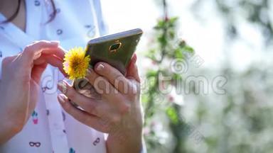 靠近，一个女孩在她的<strong>手机</strong>上打印一些东西，她拿着一朵黄色的蒲公英。 <strong>春天</strong>，一个盛开的苹果园