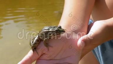 小男孩手里拿着一只青蛙在河边的海滩上。