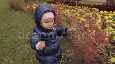 一个小女孩用手掌敲打灌木丛。 抓住它，试图撕开花坛上的灌木丛。