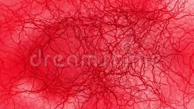 人血管3D环动画.. 红色毛细血管。 红色背景上的眼睛血。 解剖学背景。 医学概念。