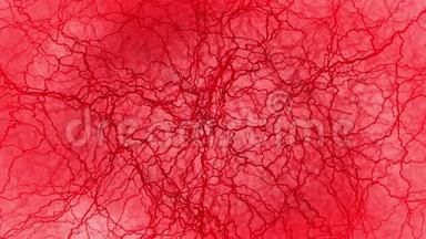 人血管3D环动画.. 红色毛细血管。 红色背景上的眼睛血。 解剖学背景。 医学概念。