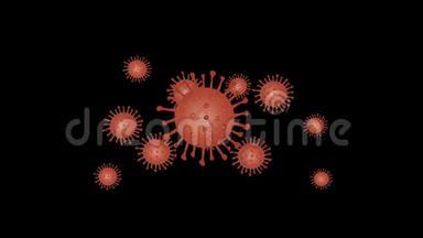 许多冠状病毒细菌在黑色背景上飞行，<strong>作为</strong>一个大的红色Covid-19号出现。 2d动画