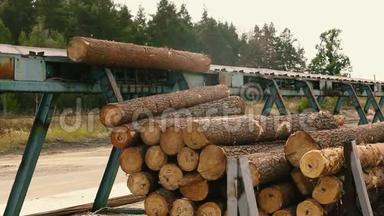 木材生产。 木工。 加工<strong>原木</strong>。 锯木厂的<strong>原木</strong>沿着传送带移动