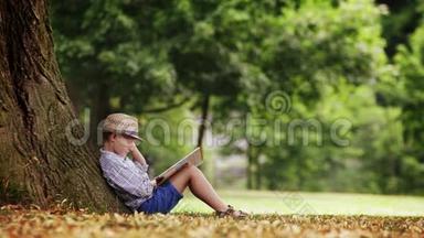 一个男孩坐在大林登树下看书