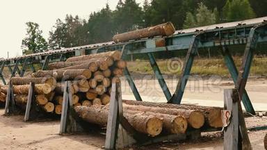 木材生产。 木工。 加工<strong>原木</strong>。 锯木厂的<strong>原木</strong>沿着传送带移动