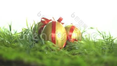 绿色草地和白色背景上有红色丝带的金蛋