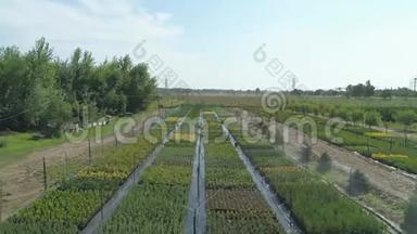 空中拍摄：绿色的田野和鲜花。 种植花卉、蔬菜和植被的农工<strong>综合体</strong>