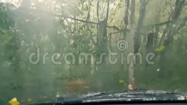 水滴落在汽车玻璃上。树林里下着冰雹。阳光照在照相机里