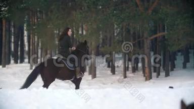 一个年轻的女人骑着一匹黑色的马走过雪林深处的漂流
