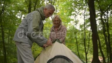 快乐的老夫妇在树林里搭帐篷