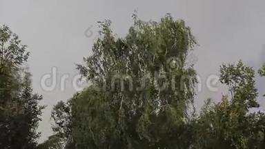 大风和大雨在恶劣天气时使树枝弯曲。 从窗户看房子