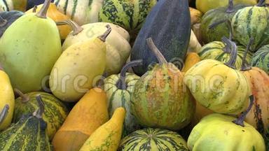 市场上有新鲜的南瓜、葫芦和小胡瓜、葫芦巴或白南瓜，优质天然南瓜