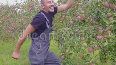 在苹果园里，一个有趣的跳舞和跳跃的<strong>农民</strong>的慢动作拍摄。 幸福成功的<strong>农民</strong>在附近