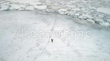南极洲企鹅在雪地上奔跑，冰天雪地。