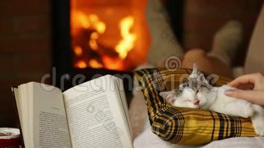 女人喜欢一本好书，和她的小猫在一起