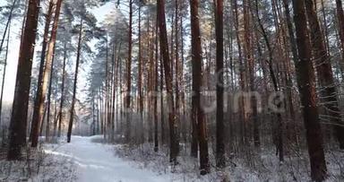 冬季多<strong>雪</strong>的针叶林。冬季森林中的<strong>雪路</strong>、道<strong>路</strong>、道<strong>路</strong>或小径。全景，全景。