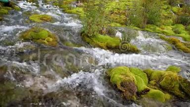 山溪石间长满青苔.. 慢动作180fps。 透明、纯净的水流