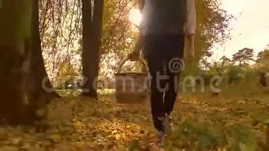 布鲁内特女孩拿着一个野餐篮穿过秋天的树林。 晴天。 4Ksteatam视频