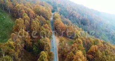 在五彩缤纷的乡村秋林中，仰视高空俯视道路。 秋天的橙色，绿色，黄色的红色树林